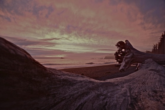Olympic National Park
