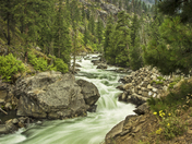 Wenatchee National Forest
