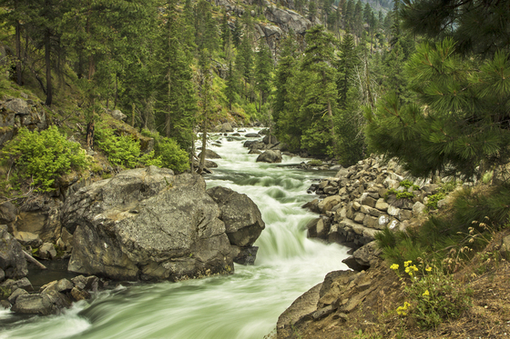 Wenatchee National Forest