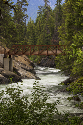 Wenatchee National Forest