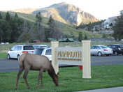 Yellowstone National Park