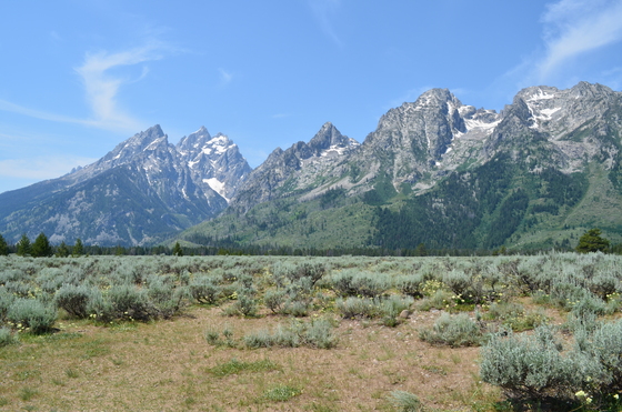 Grand Teton National Park