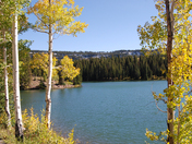 Grand Mesa National Forest