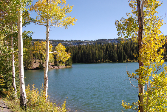 Grand Mesa National Forest
