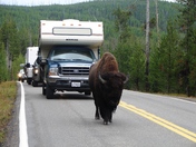 Yellowstone National Park