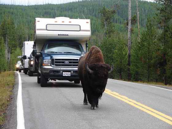 Yellowstone National Park