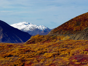 Denali National Park