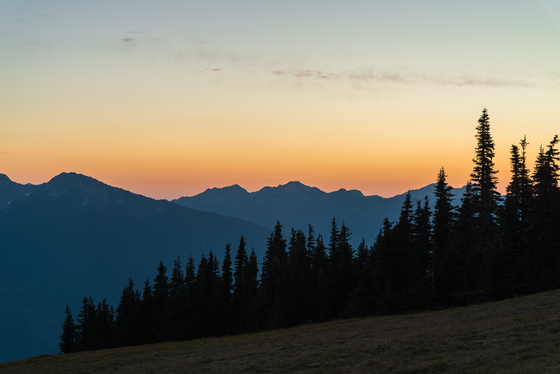 Olympic National Park