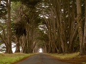 Point Reyes National Seashore