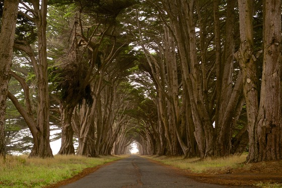 Point Reyes National Seashore