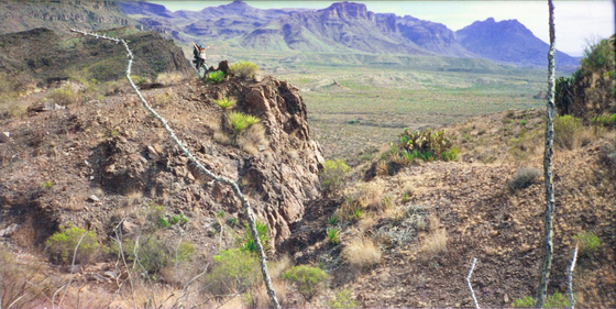 Big Bend National Park