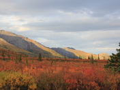 Tangle Lakes Delta Campground