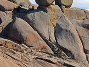 wichita mountains wildlife refuge