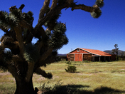The Piute-Eldorado Desert Wildlife Management Area