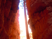 Bryce Canyon National Park