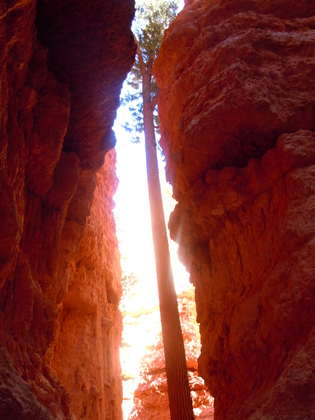 Bryce Canyon National Park