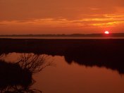 Assateague Island National Seashore