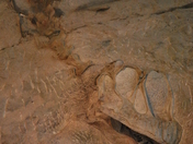 Dinosaur National Monument