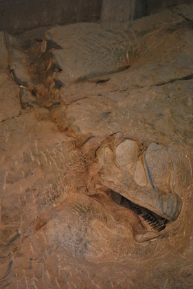 Dinosaur National Monument