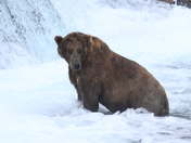 Katmai National Park