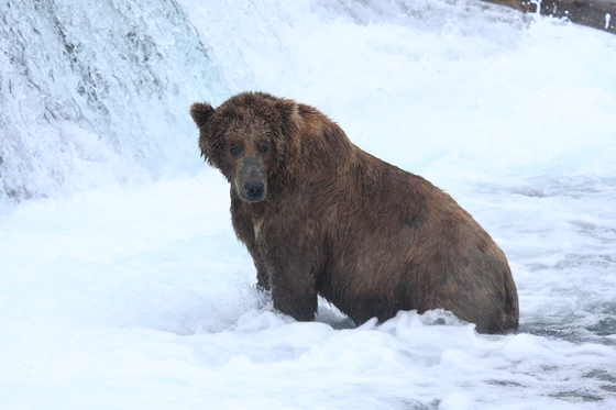 Katmai National Park