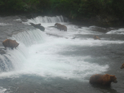 Katmai National Park