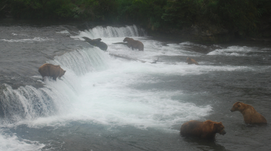 Katmai National Park