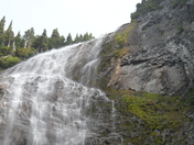 Mt. Rainier National Park
