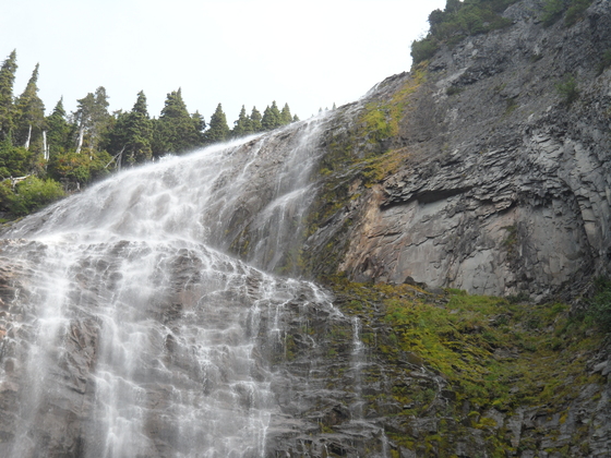 Mt. Rainier National Park