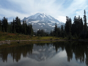 Mt. Rainir National Park