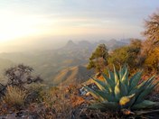 Big Bend National Park