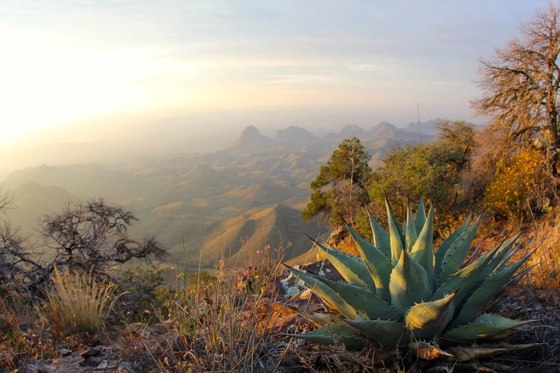 Big Bend National Park