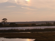 Assateague Island National Seashore