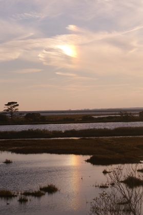 Assateague Island National Seashore