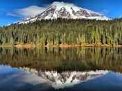 Mt Rainier National Park