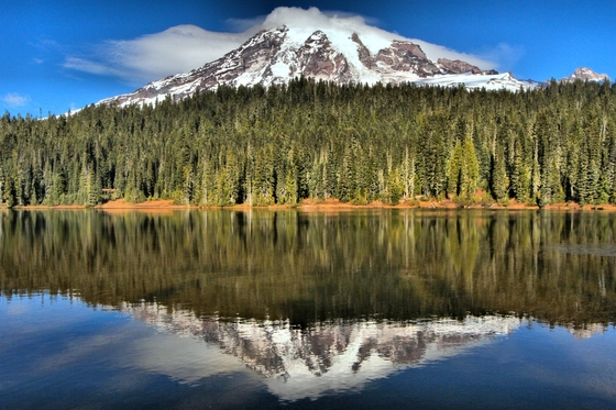 Mt Rainier National Park
