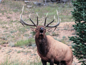 Rocky Mountain National Park