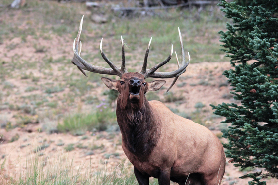 Rocky Mountain National Park