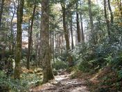 Great Smoky Mountains