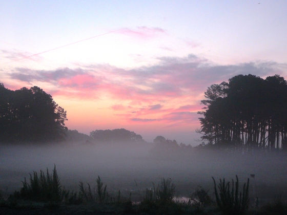 Chincoteague National Wildlife Refuge