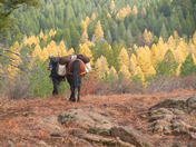 Payette National Forest/ Cuddy Mountain Roadless Area