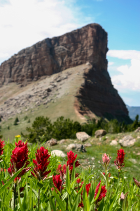 Gallatin National Forest