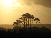 Chincoteague National Wildlife Refuge