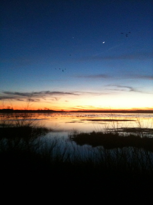 Chincoteague National Wildlife Refuge