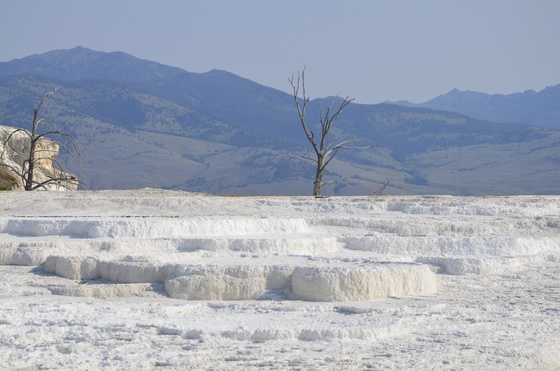 Yellowstone National Park