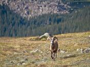 Rocky Mountain National Park