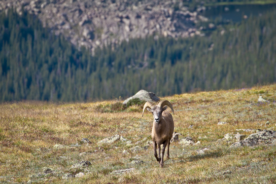 Rocky Mountain National Park