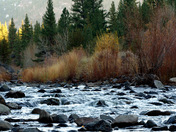 El Dorado National Forest