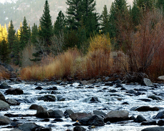 El Dorado National Forest