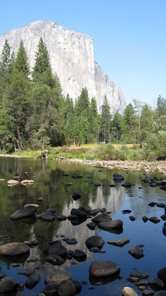 Yosemite National Park